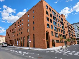Pronájem bytu 1+kk, Praha - Žižkov, Budovcova, 35 m2