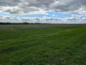 Prodej komerčního pozemku, Chýně, 3825 m2