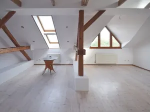 Prodej atypického bytu, Plzeň - Severní Předměstí, Křížkova, 68 m2
