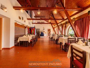 Prodej obchodního prostoru, Březí, Dunajovická, 630 m2