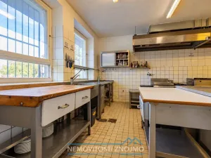 Prodej obchodního prostoru, Březí, Dunajovická, 630 m2
