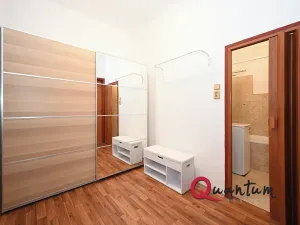 Pronájem bytu 2+kk, Praha - Žižkov, Lucemburská, 50 m2