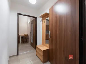 Prodej bytu 1+1, Ústí nad Labem - Ústí nad Labem-centrum, Koněvova, 48 m2
