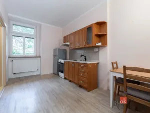 Prodej bytu 1+1, Ústí nad Labem - Ústí nad Labem-centrum, Koněvova, 48 m2