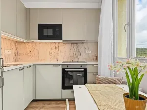 Prodej bytu 1+1, Ústí nad Labem - Střekov, Nová, 42 m2