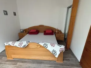 Prodej rodinného domu, Brno, Gargulákova, 417 m2