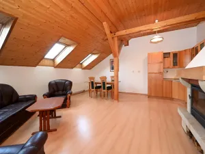 Pronájem bytu 4+kk, Praha - Žižkov, Milíčova, 100 m2