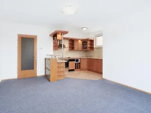 Prodej bytu 2+kk, Praha - Vinohrady, U Zvonařky, 60 m2