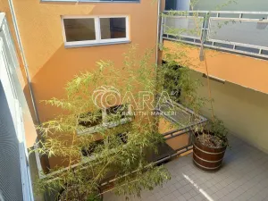 Pronájem bytu 2+kk, Praha - Hloubětín, Slévačská, 67 m2