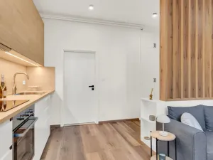 Prodej bytu 1+kk, Praha, Soběslavská, 30 m2