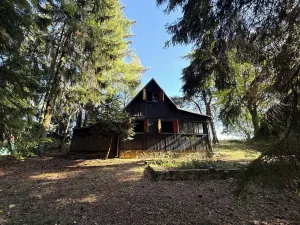 Prodej chaty, Borová, 53 m2