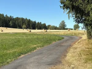 Prodej chaty, Borová, 53 m2