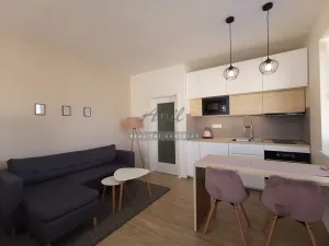 Pronájem bytu 1+kk, Šlapanice, 38 m2