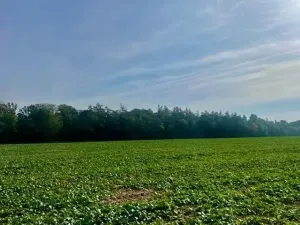 Prodej pole, Praha - Liboc, Na Padesátníku I, 24066 m2
