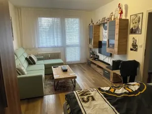 Pronájem bytu 1+1, Pardubice, Lonkova, 41 m2