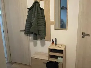 Pronájem bytu 1+1, Pardubice, Lonkova, 41 m2