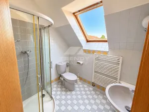 Pronájem rodinného domu, Vestec, Vilová I, 250 m2