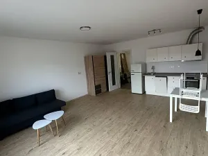 Pronájem bytu 1+kk, České Budějovice, Chelčického, 38 m2