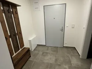Pronájem bytu 1+kk, České Budějovice, Chelčického, 38 m2