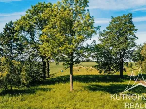 Prodej pozemku pro bydlení, Bohdaneč, 991 m2
