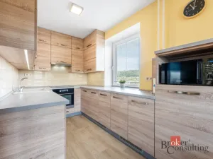 Prodej bytu 2+kk, Blansko, Dvorská, 50 m2