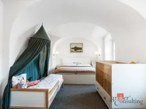 Prodej bytu 4+kk, Letovice, Zámek, 183 m2