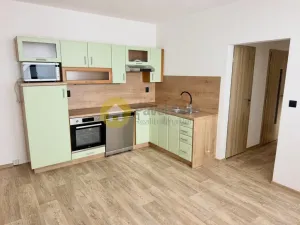 Pronájem bytu 2+kk, Strakonice - Strakonice I, Mládežnická, 41 m2