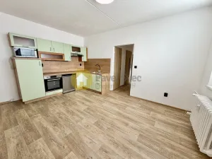 Pronájem bytu 2+kk, Strakonice - Strakonice I, Mládežnická, 41 m2