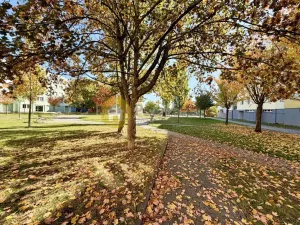 Pronájem bytu 2+kk, Strakonice - Strakonice I, Mládežnická, 41 m2