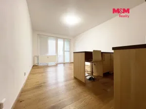 Pronájem bytu 1+kk, Strakonice - Přední Ptákovice, Šumavská, 28 m2