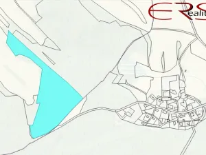 Prodej lesa, Merboltice, 37279 m2