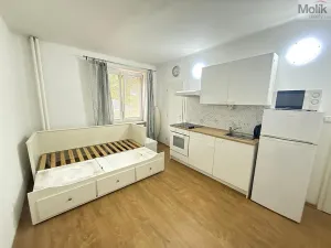 Pronájem bytu 1+kk, Most, Slovenského národního povstání, 22 m2