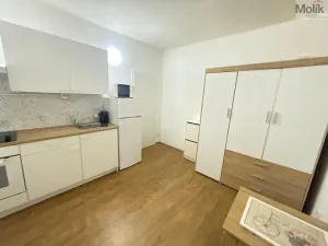 Pronájem bytu 1+kk, Most, Slovenského národního povstání, 22 m2