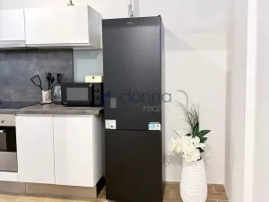 Pronájem bytu 1+kk, Praha, Mozartova, 94 m2