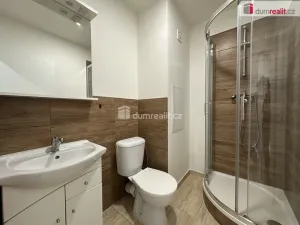 Pronájem bytu 1+kk, Břeclav, J. Palacha, 20 m2