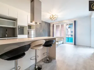 Prodej bytu 2+kk, Praha - Stodůlky, Petržílkova, 54 m2