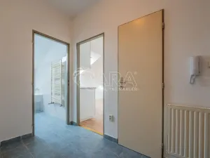 Pronájem bytu 1+kk, Písek - Václavské Předměstí, Hostivítova, 30 m2