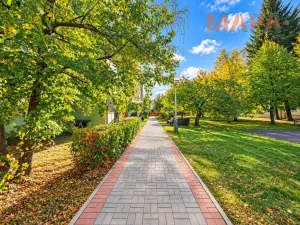 Pronájem bytu 1+1, Chomutov, Kostnická, 35 m2