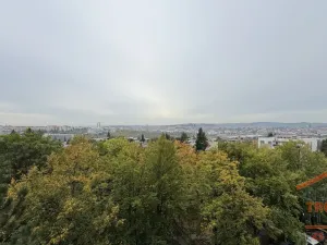 Prodej bytu 2+1, Brno, Slavíčkova, 50 m2
