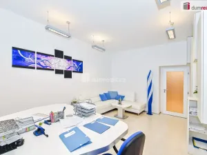Pronájem kanceláře, Praha - Nové Město, V jirchářích, 284 m2