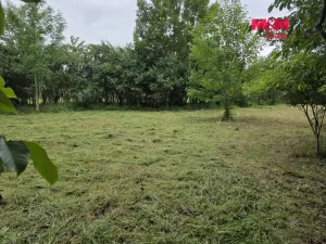 Prodej pozemku pro bydlení, Bor - Boječnice, 1093 m2