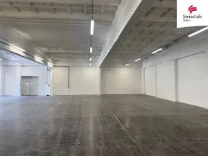 Pronájem skladu, Hradec Králové - Slezské Předměstí, Stavební, 924 m2