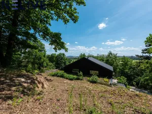Prodej rodinného domu, Plzeň - Severní Předměstí, 164 m2