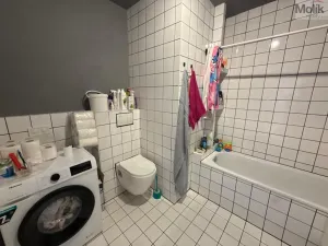 Pronájem bytu 3+1, Most, Růžová, 1111 m2