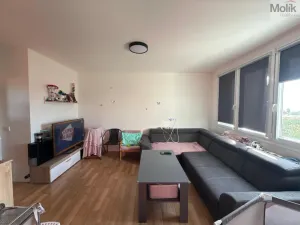 Pronájem bytu 3+1, Most, Růžová, 1111 m2