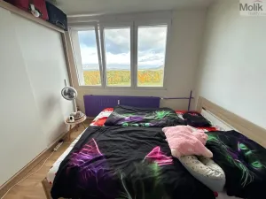 Pronájem bytu 3+1, Most, Růžová, 1111 m2