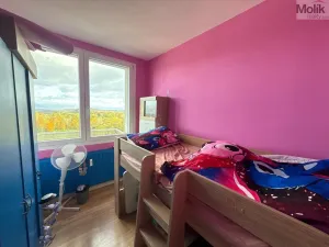 Pronájem bytu 3+1, Most, Růžová, 1111 m2