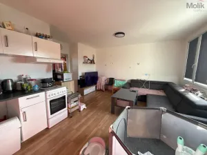 Prodej bytu 3+1, Most, Růžová, 56 m2