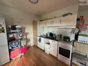 Prodej bytu 3+1, Most, Růžová, 56 m2