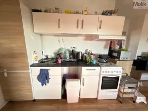 Prodej bytu 3+1, Most, Růžová, 56 m2